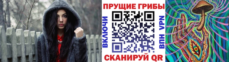 Галлюциногенные грибы прущие грибы  купить наркотики цена  Питкяранта 
